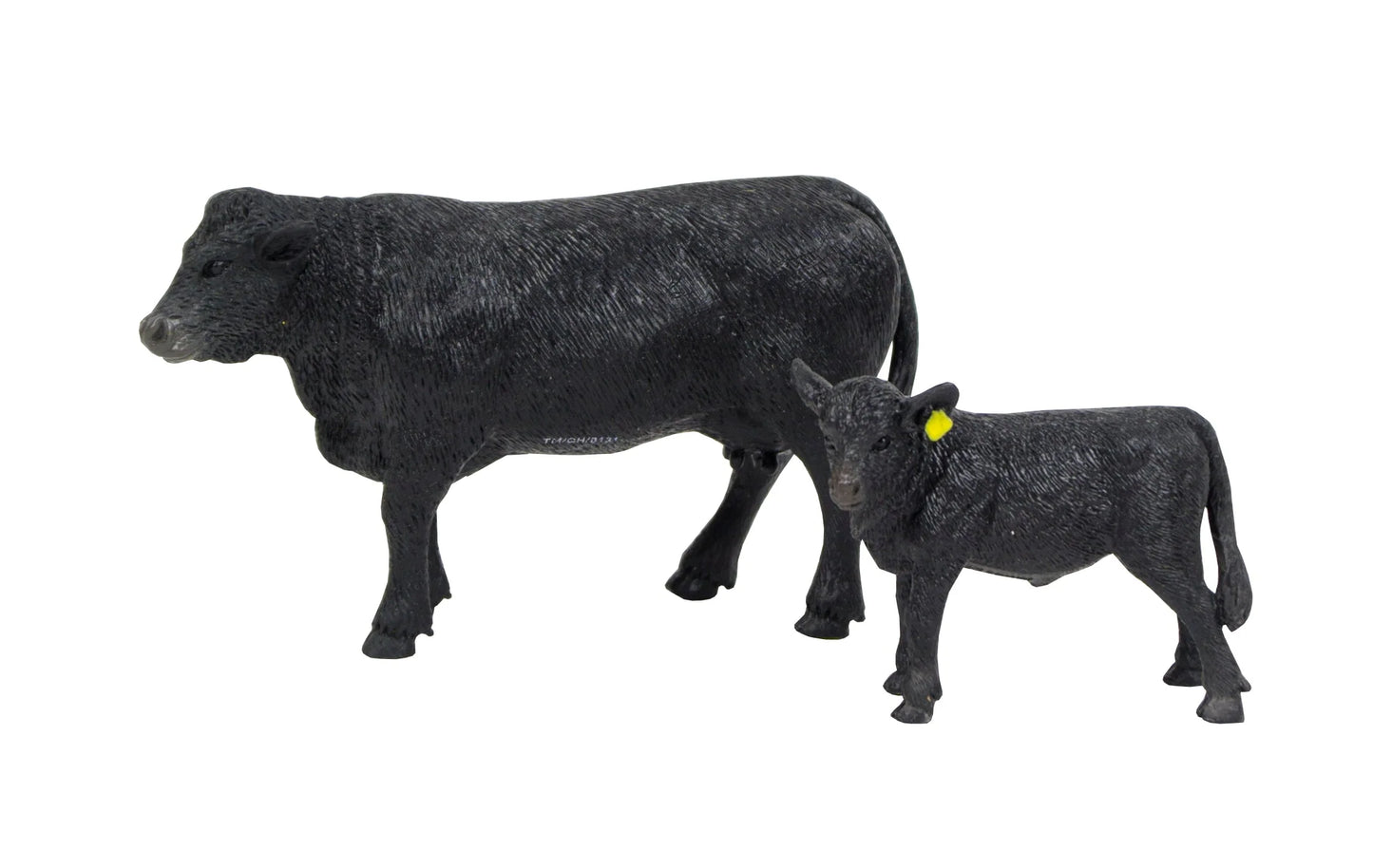Black Angus & Calf