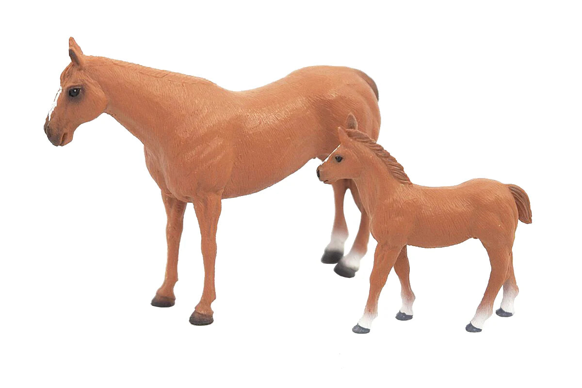 Quarter Horse Mare & Colt