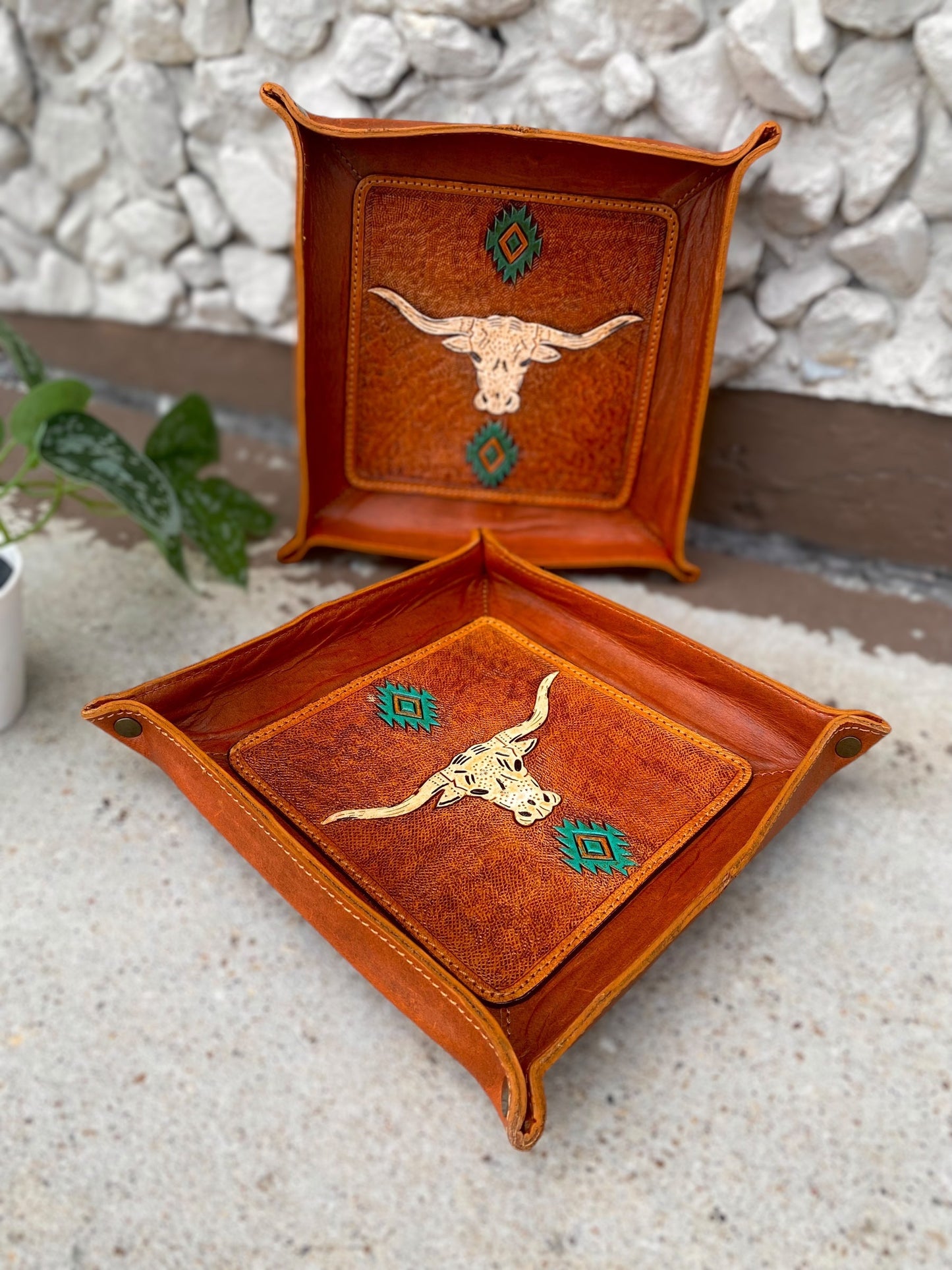 Longhorn Decorative Leather Trays
