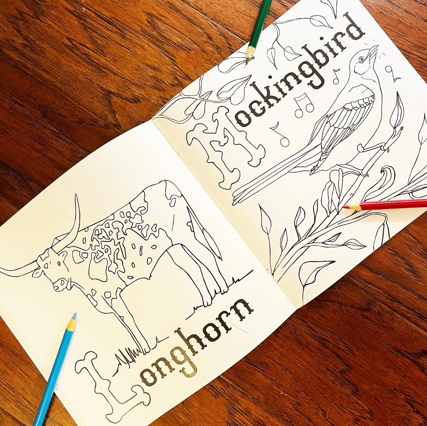 Texas ABC Coloring Book