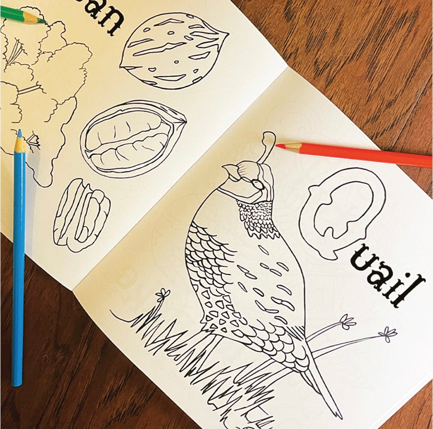 Texas ABC Coloring Book